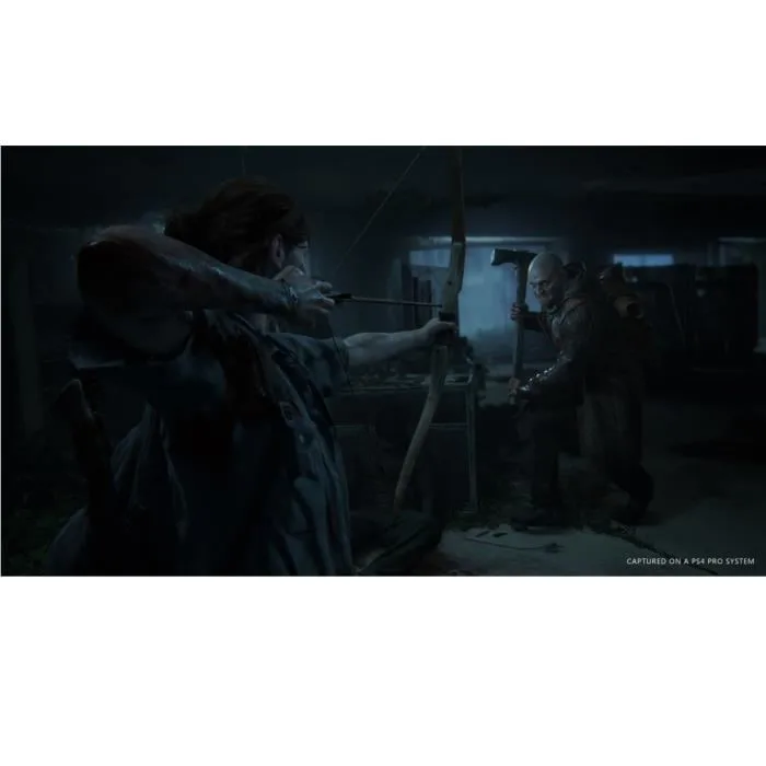 The Last of Us Part 2 - PS4 Prix Maroc - Vue 5